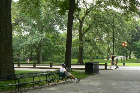 man-reading-paper-in-the-park