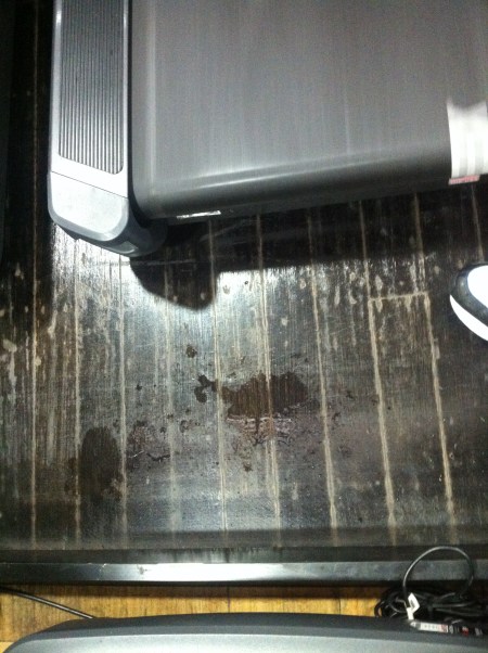 Armadale, cardio pit on ground floor at 6am. Entire roof leaks after rain. Note puddles of water on both treadmills and polished wooden floor behind them. 