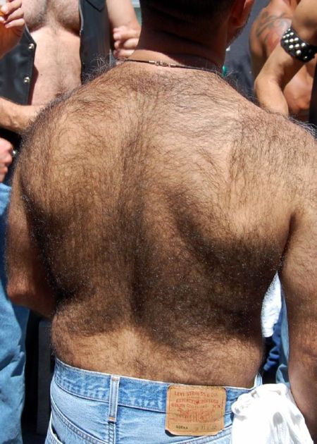 man-hairy-back